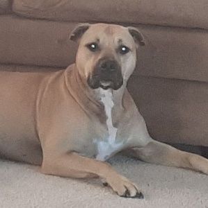 Meet your Posher, Gary